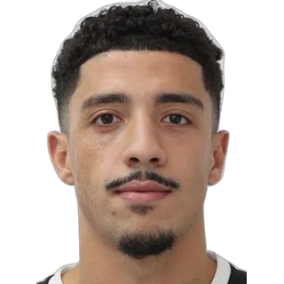Houssemeddine Mostafa