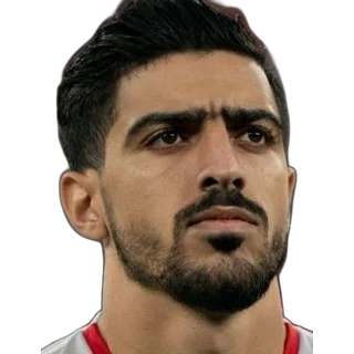 Amine Ben Hamida