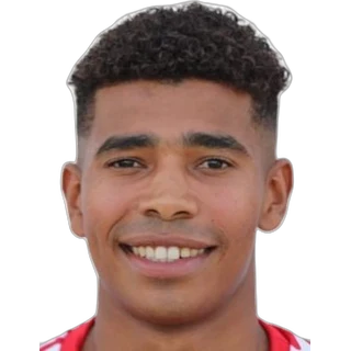 Amine Laajimi